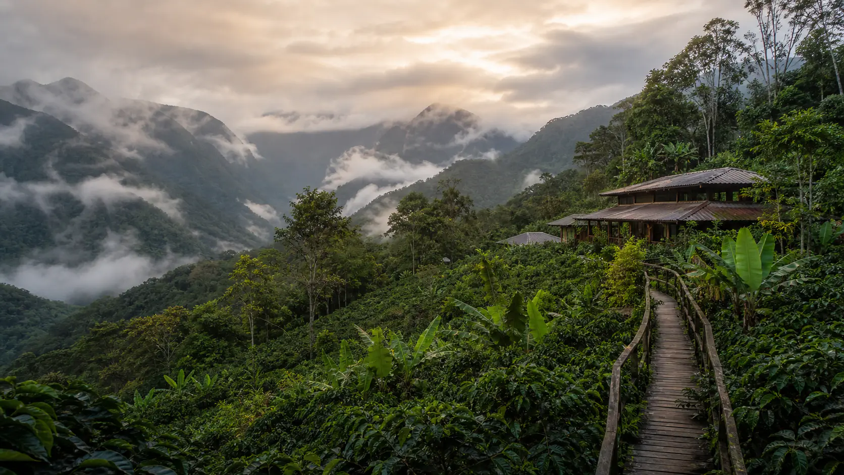 Retiro Ayahuasca 5 días en Huayopata