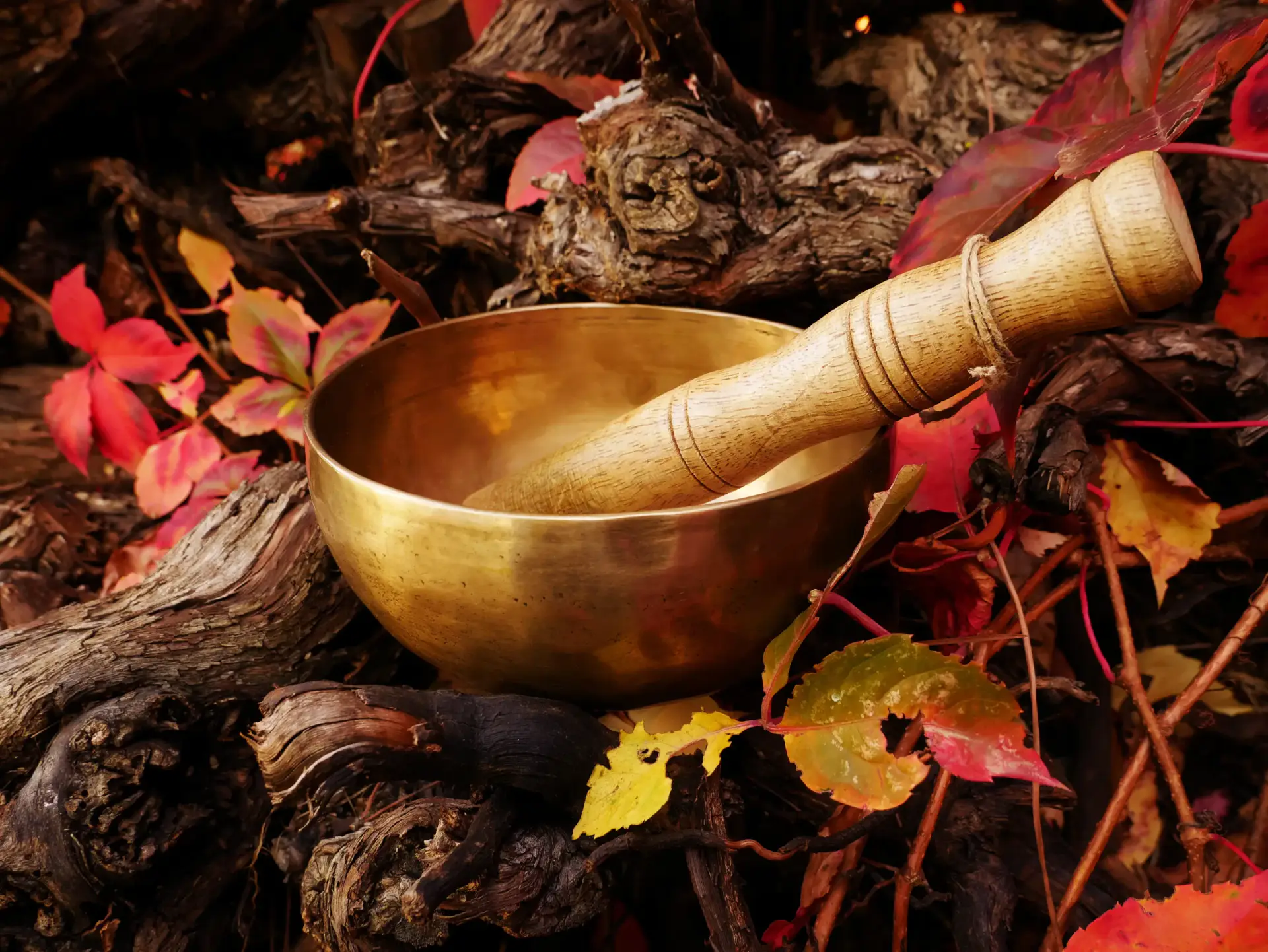 Ayahuasca Sacred Valley and Machupicchu 2