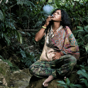 Retiro Ayahuasca 3 dias en la selva