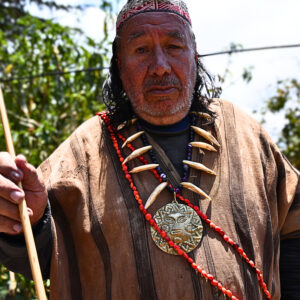 Ceremonia Ayahuasca en Machupicchu